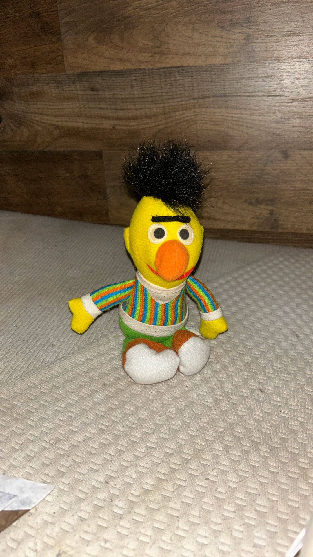 Bert