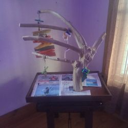 Parrot Perch Tree