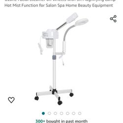 Facial Steamer