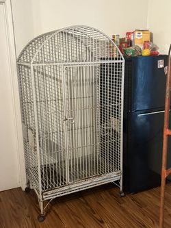 Big Ass Birdcage I Think It’s For Pears. I Don’t Know. I’ll Make A Deal.