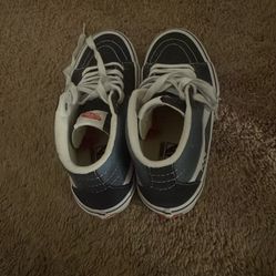 Vans skateboard shoes