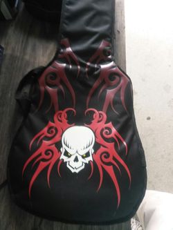 Guitar case