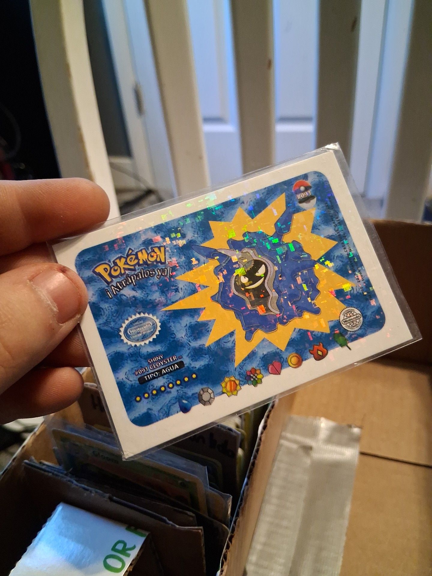 Big lot Pokémon cards