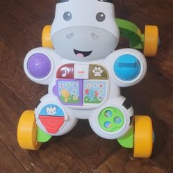 Zebra Walker Push Toy