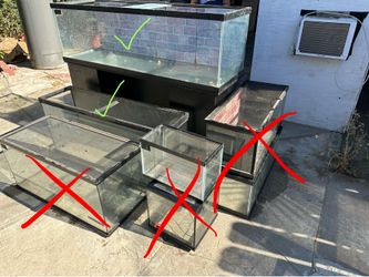 Tanks (Reptile or Fish)(Prices And Availability listed in the description)