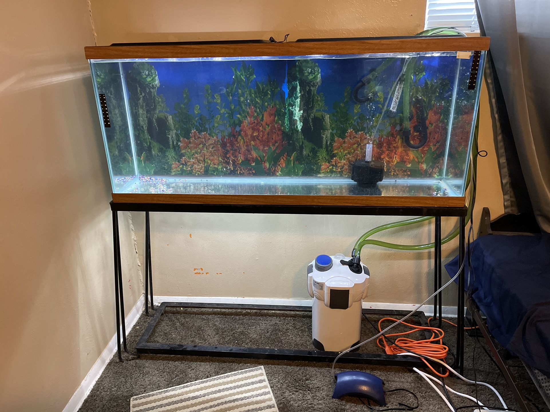 60 Gallon Fish Tank Holds Water Cones With Stand With cabinets