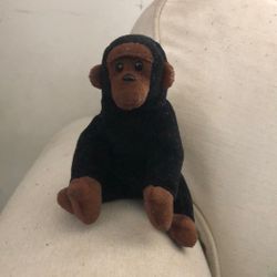  Calling All Collectors Selling Beanie Baby