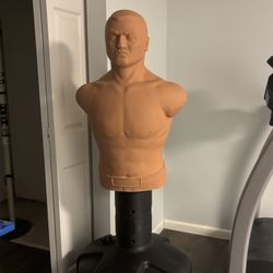 Punching Dummy (from Dicks Sporting Goods)