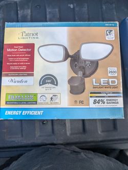 Patriot Lighting With Motion Sensor