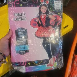 Ladybug Costume