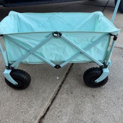 Children’s Wagon 