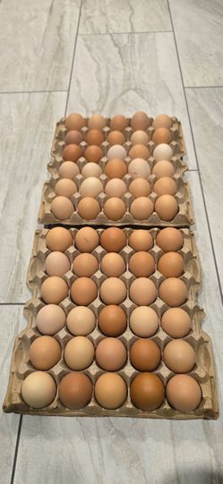 Fresh Organic Brown Eggs.  5 dozen (Qty: 60) for $15
