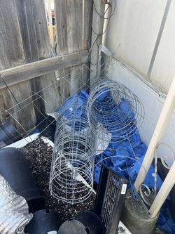 Tomato Cages $5 Each