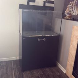 Fish Tank With Water Filter 