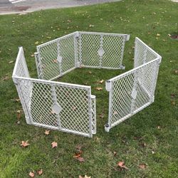 Plastic Dog Fence 