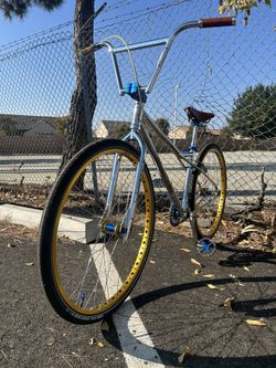 29’ Bassett Swooper