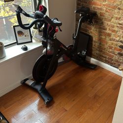 Peloton (new In 2020)