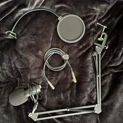 Microphone Stand + Microphone + Pop Filter 