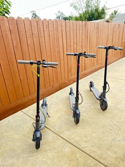 Electric Scooters ($150 each)