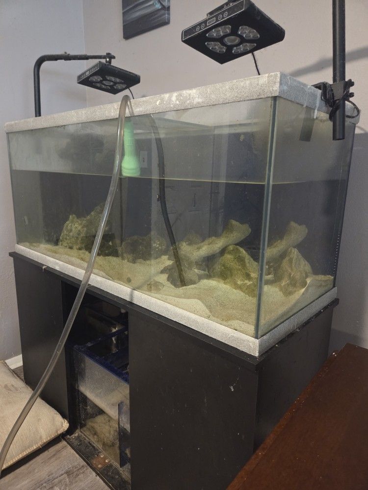 Salt Water Tank Comes With Sump