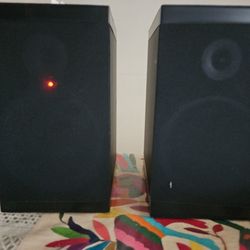 Dual Speakers