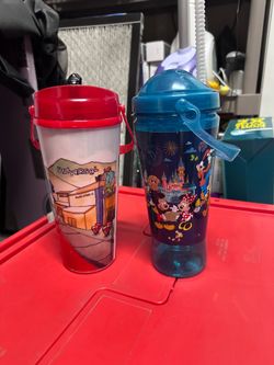 Universal Studios & Disneyland Tumblers/Sippers