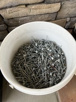 Roofing Nails