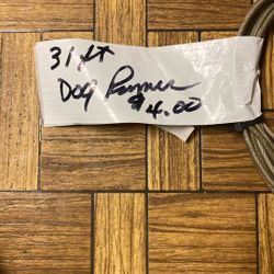 31 Ft Dog Runner