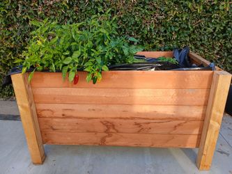 Wood raised garden