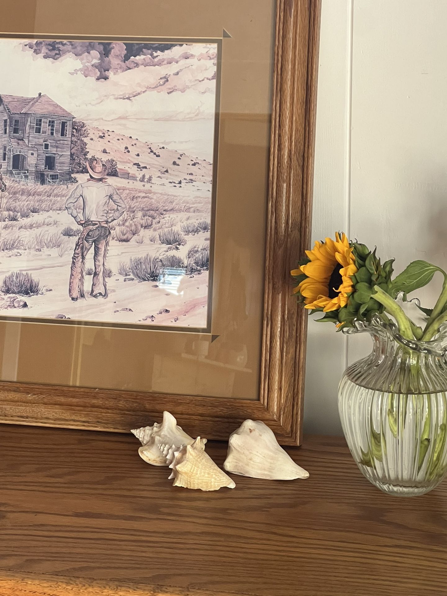 Set Of 3 Small Conch Shells