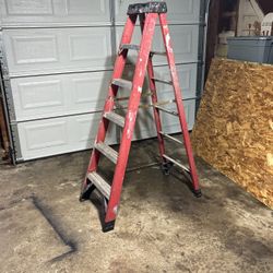 Werner 6’ Ladder