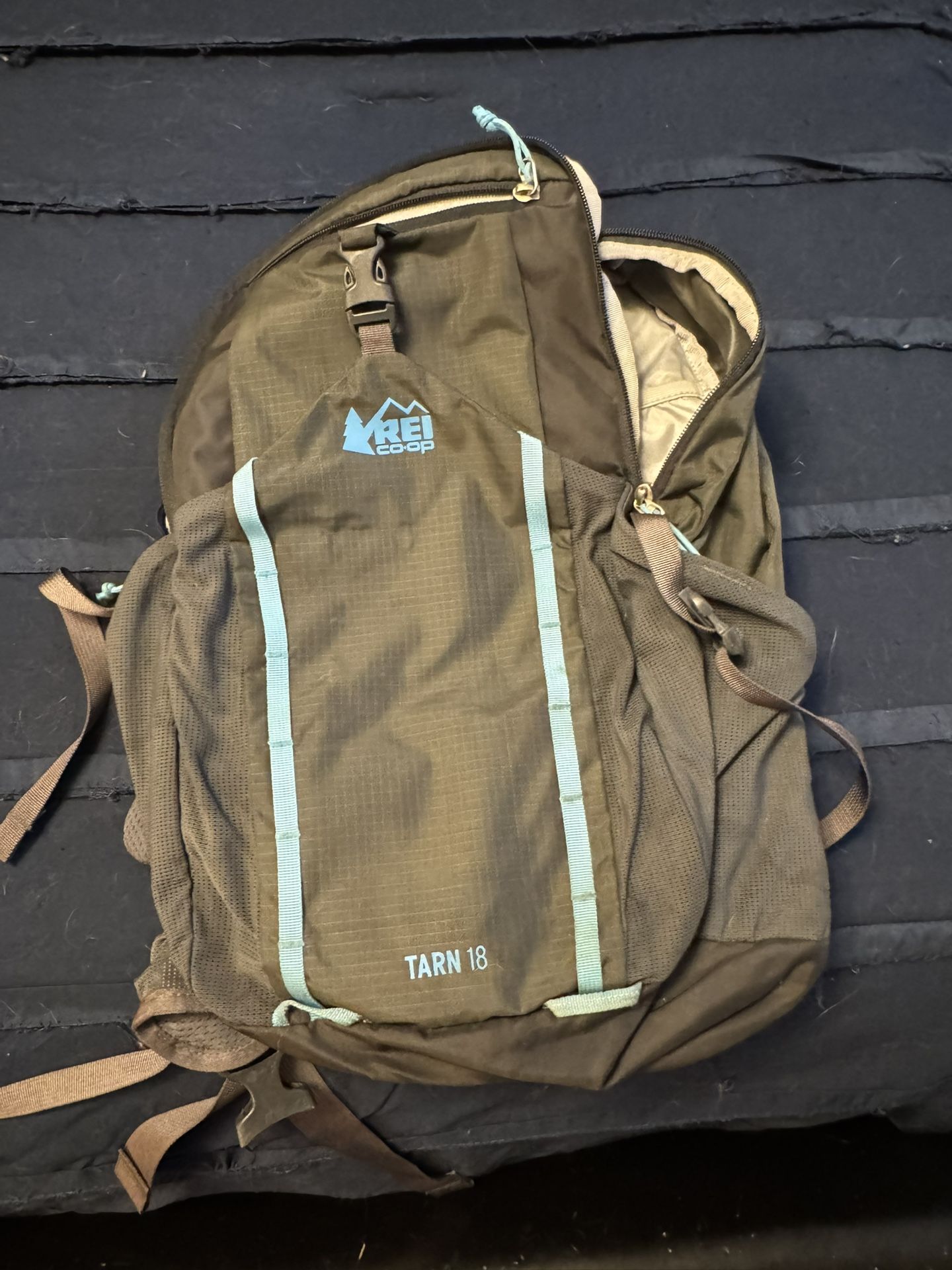 REI 18L Tarn Backpack