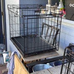 Dogs Kennel