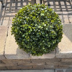 Imitation Box Tree And White Rose And Orchid Topiary Balls