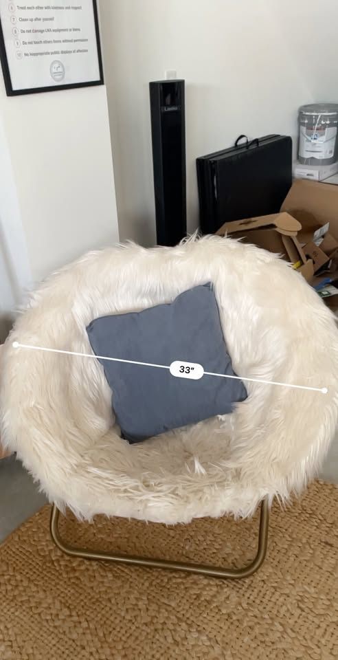 2 Pottery Barn Hang-A-Round Chairs