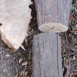 Good Wood