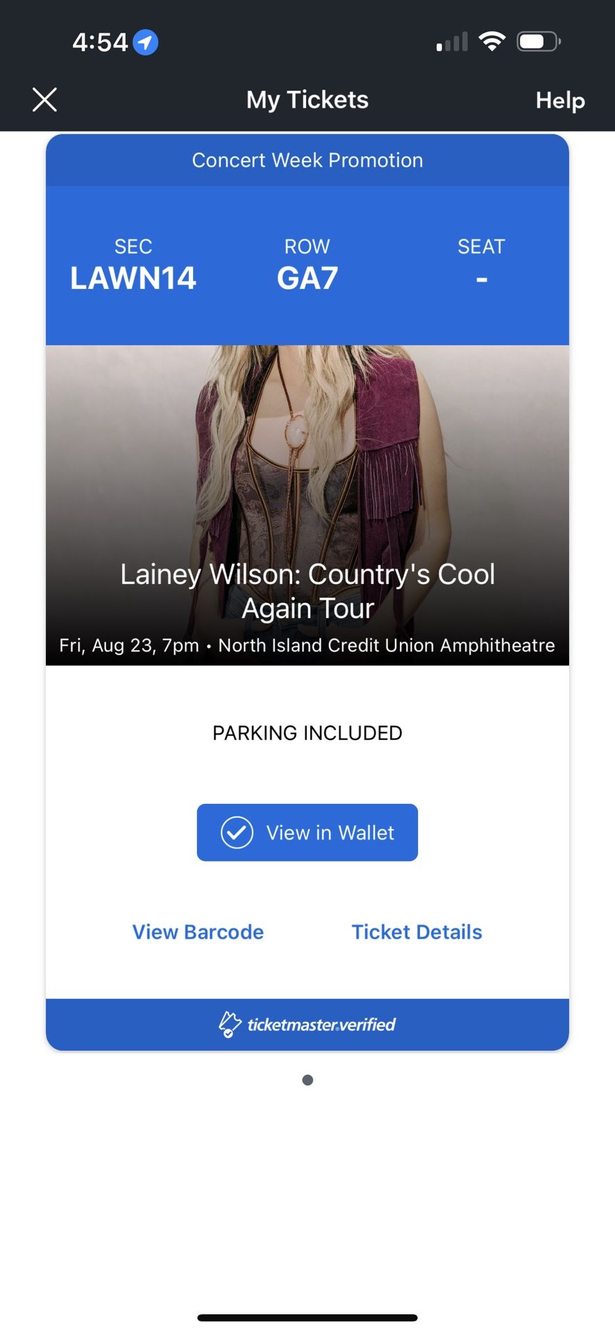 Lainey Wilson Lawn Ticket