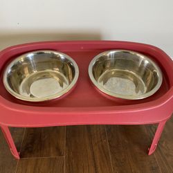 Food Dogs 