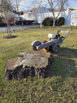 Stump Grinding