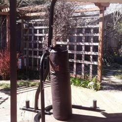 Everlast punching Bag And Stand 