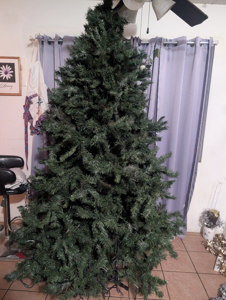 Christmas Tree Very Tall Over 6ft