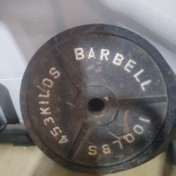 100 Lb Plate