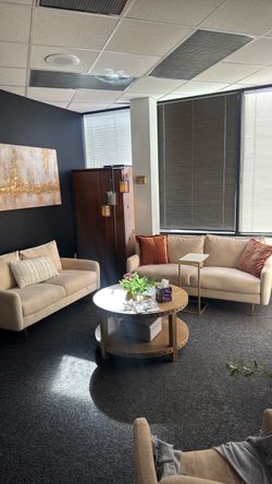 Suede Living Room Set like new