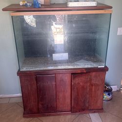 fish tank