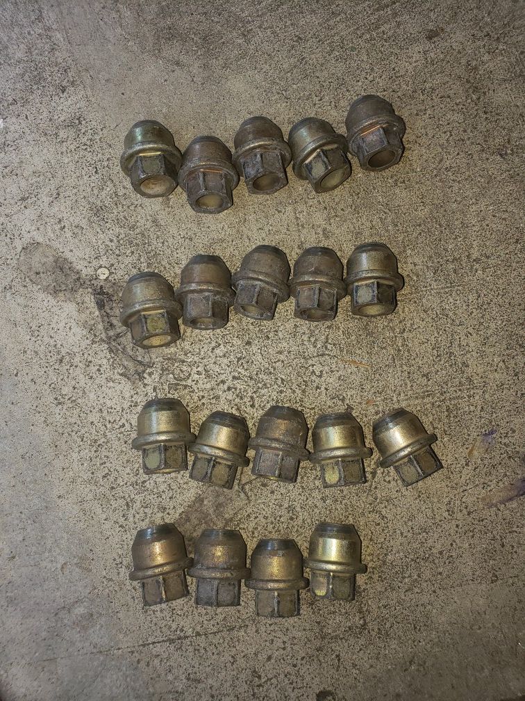 19 lug nuts. Possibly from Chevrolet trail blazer