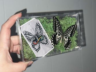 Two Of Pentacles Butterfly