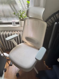 Branch Ergonomic Chair with Headrest
