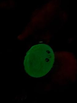 Squishy GLOW IN THE DARK