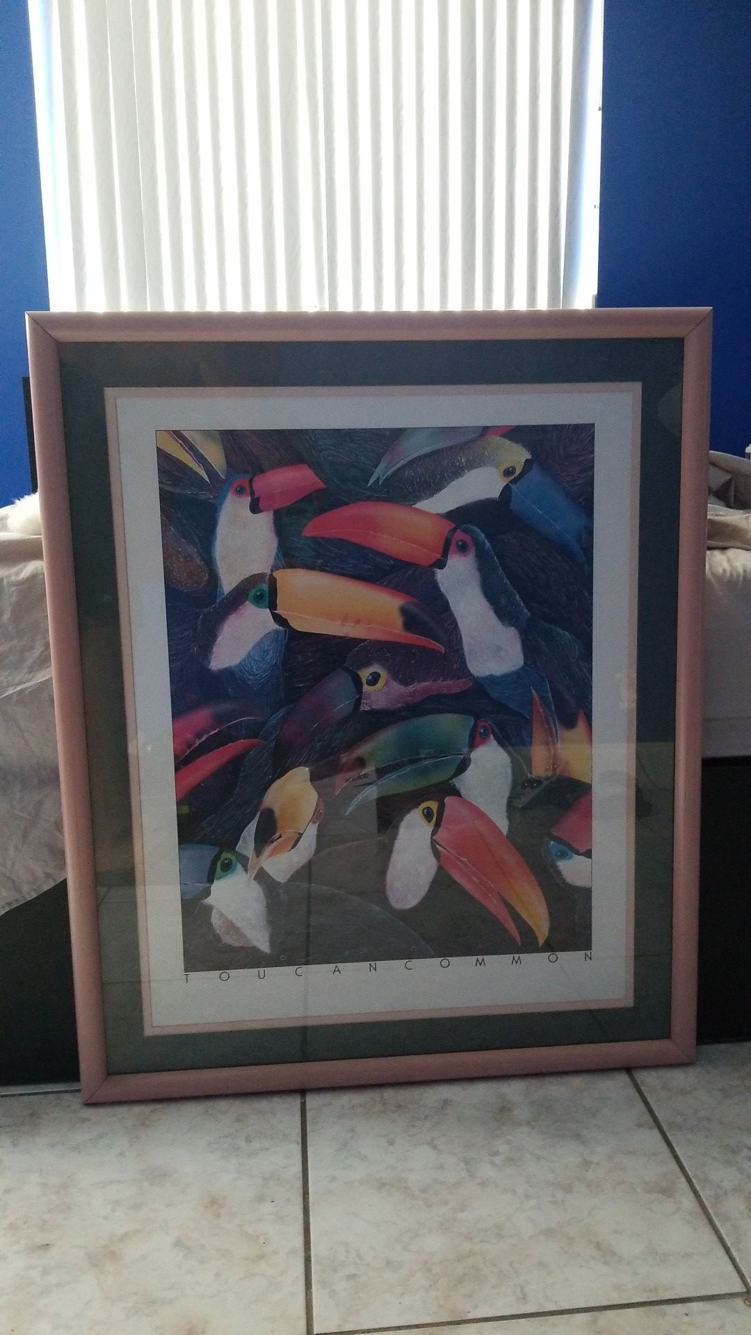 Tucan Common Painting