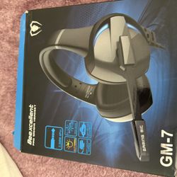 Pro Gaming Headphones 